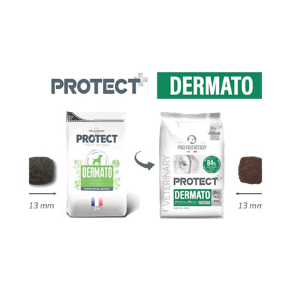 Protect Perro Dermato