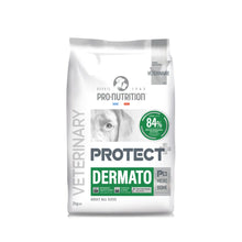 Protect Perro Dermato