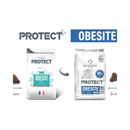 Protect Gato Obesite 2 kg