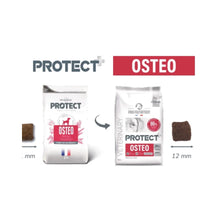 Protect Perro Osteo 12 kg