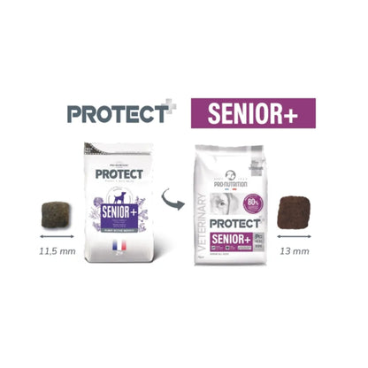 Protect Perro Senior + 2 kg