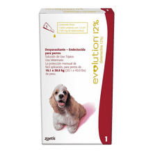 Revolution Perro 12% 10 - 20 kg (1ml)