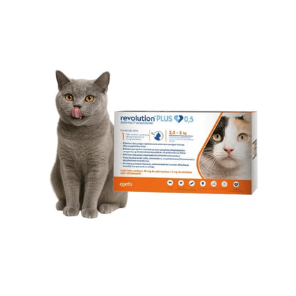 Pack 6 x Revolution Plus Gato 0.5 ml