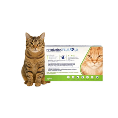 Pack 10 x Revolution Plus Gato 5 - 10 kg (1ml)