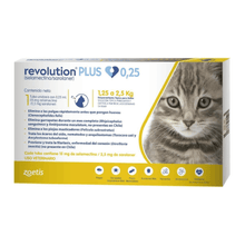Pack 6 x Revolution Plus Gato 0.25 ml