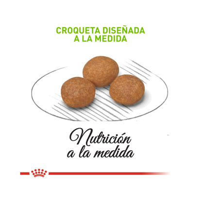 Royal Canin Adulto X-Small 2,5 kg