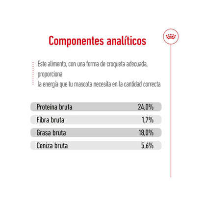 Royal Canin Adulto X-Small 2,5 kg