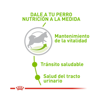 Royal Canin Adulto X-Small 2,5 kg