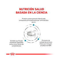 Royal Canin Anallergenic Gato 2 kg
