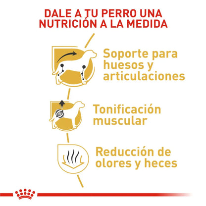 Royal Canin Dachshund Adulto 7,5 kg