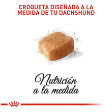 Royal Canin Dachshund Adulto 7,5 kg