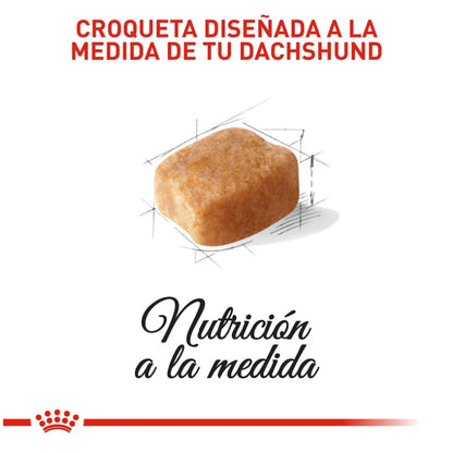 Royal Canin Dachshund Adulto 7,5 kg