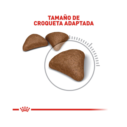 Royal Canin Gato Hairball Care 1.5 kg