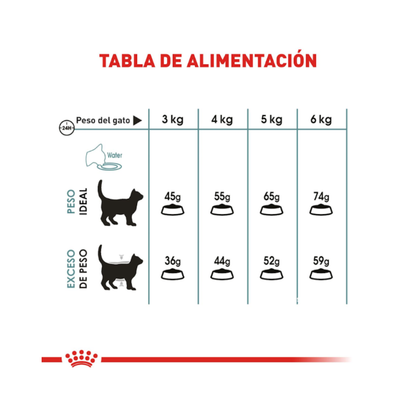Royal Canin Gato Hairball Care 1.5 kg