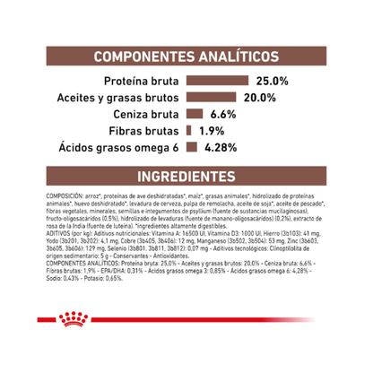 Royal Canin Perro Gastrointestinal 10 kg