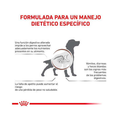 Royal Canin Perro Gastrointestinal 10 kg