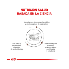 Royal Canin Perro Gastrointestinal 10 kg