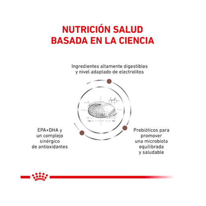 Royal Canin Perro Gastrointestinal 10 kg