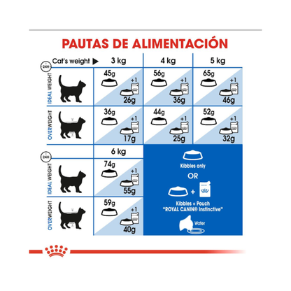 Royal Canin Gato Indoor 1.5 kg