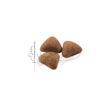 Royal Canin Gato Indoor 1.5 kg