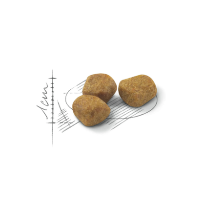 Royal Canin Gato Indoor 7+ 7.5 kg
