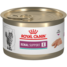 Royal Canin Gato - Renal Support E Lata 145 g