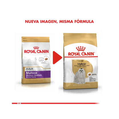 Royal Canin Maltés Adulto 1 kg