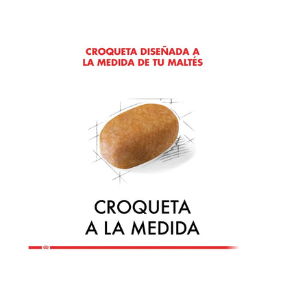Royal Canin Maltés Adulto 1 kg