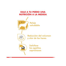 Royal Canin Maltés Adulto 1 kg