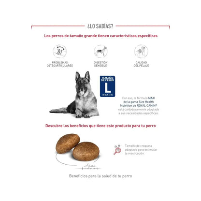 Royal Canin Maxi Adulto 12 kg