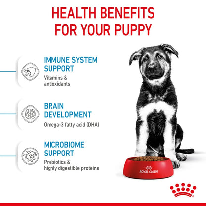 Royal Canin Maxi Puppy 12 kg