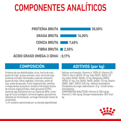 Royal Canin Maxi Puppy 12 kg