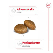 Royal Canin Maxi Weight Care 10 kg