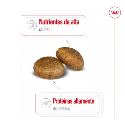 Royal Canin Maxi Weight Care 10 kg