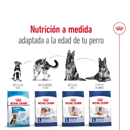 Royal Canin Maxi Weight Care 10 kg