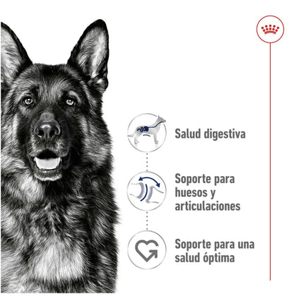 Royal Canin Maxi Weight Care 10 kg
