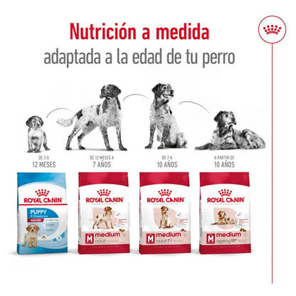 Royal Canin Medium Adulto 7+ 15 kg