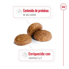 Royal Canin Medium Adulto 7+ 15 kg