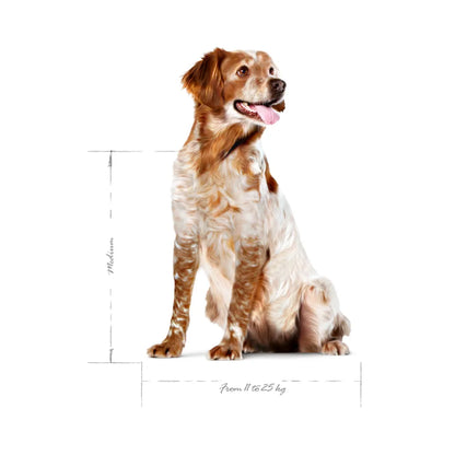 Royal Canin Medium Adulto 7+ 15 kg