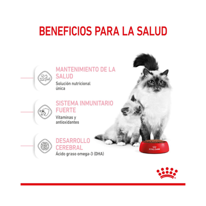 Royal Canin Gato Mother & Babycat 1.5 kg