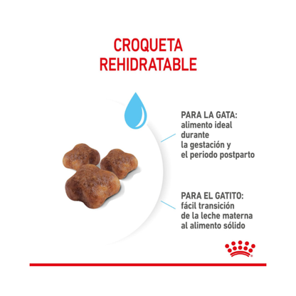 Royal Canin Gato Mother & Babycat 1.5 kg