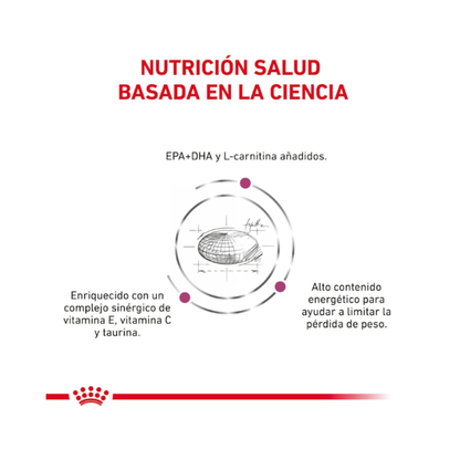 Royal Canin Perro Cardiac 2 kg