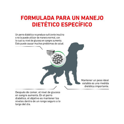 Royal Canin Perro Diabetic 10,1 kg