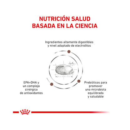 Royal Canin Perro Gastrointestinal 2 kg