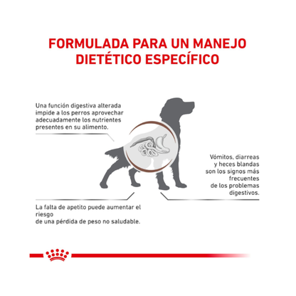 Royal Canin Perro Gastrointestinal 2 kg