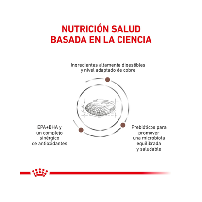 Royal Canin Perro Hepatic 10 kg
