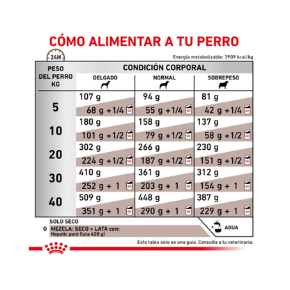 Royal Canin Perro Hepatic 10 kg