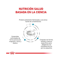 Royal Canin Perro Hypoallergenic Small Dog 2 kg