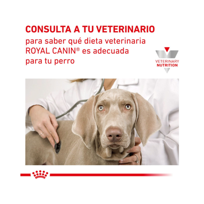 Royal Canin Perro Mobility Support 10 kg