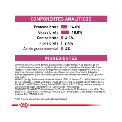 Royal Canin Perro Renal 10,1 kg